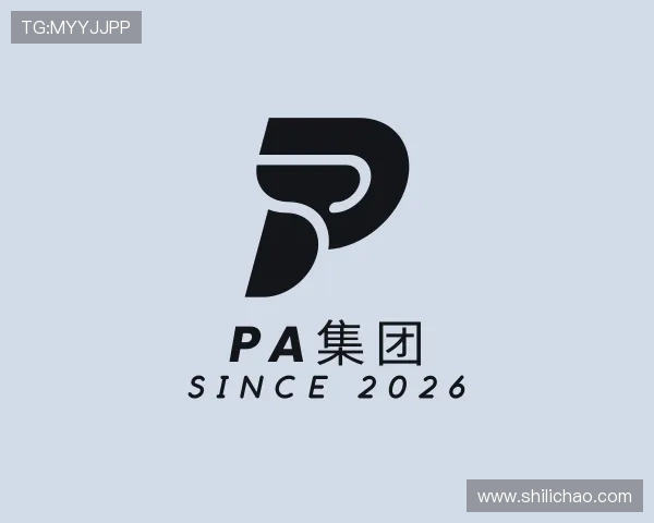 发现PA集团